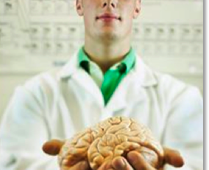 "Young Scientist Holding Human Brain"
