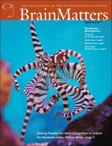 "David Edelman Brain Matters NSI Cover"